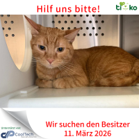 thumb_Fundtiere FB(82)